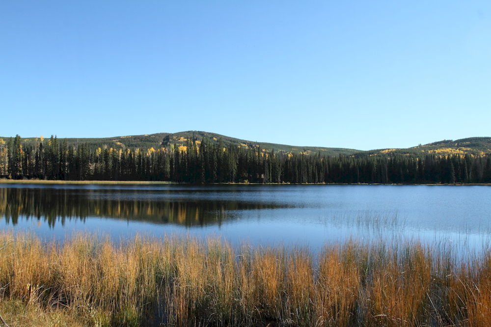 Lac Le Jeune Resort & Nature Centre Kamloops Extérieur photo
